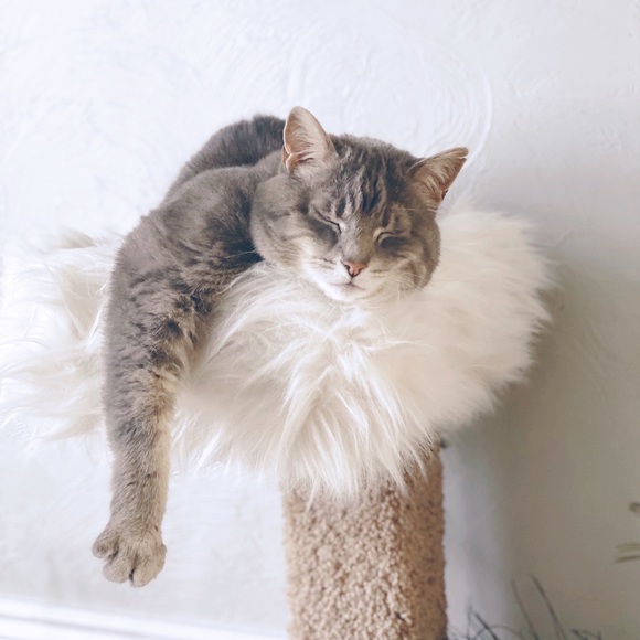 Meet your seller/buyer/clothes enthusiast - Picture 4 of 16